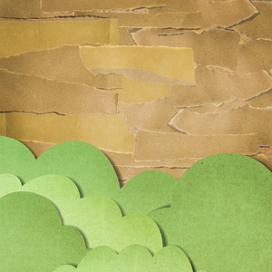 柏木舞子娘婿的感人故事知乎
