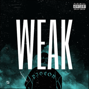 柏木舞子娘婿的感人故事知乎
