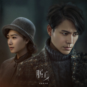 柏木舞子娘婿的感人故事知乎
